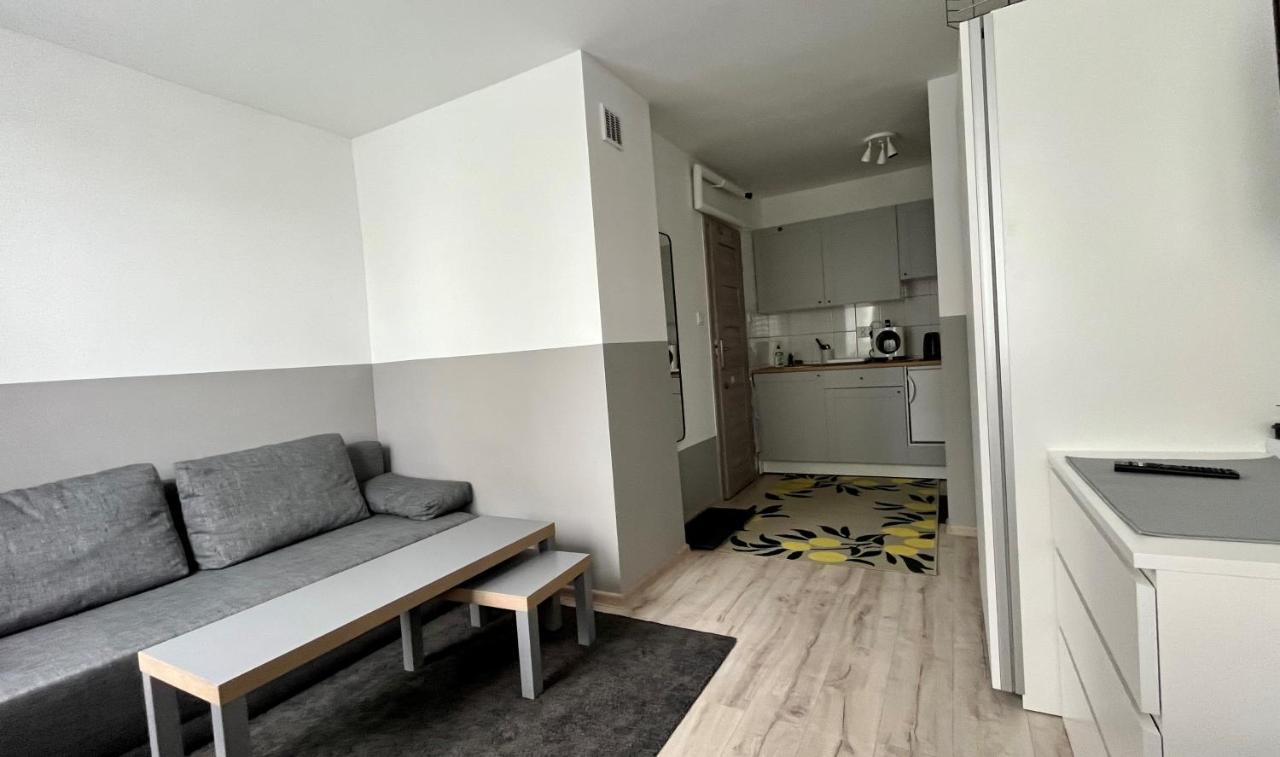 Apartmán Mlawska 33 Rypin Exteriér fotografie